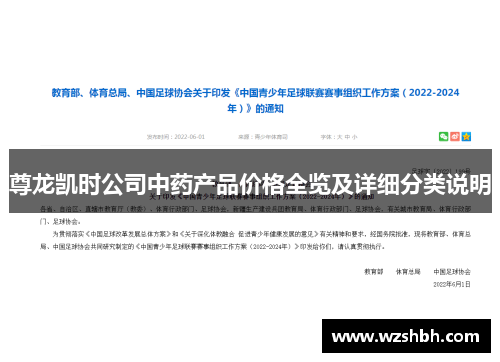 尊龙凯时公司中药产品价格全览及详细分类说明
